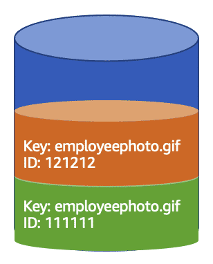 Versioning